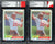 “Montana Collection" – BGS/BAS Graded Cards & Autographs of Joe Montana – (1) Card Per Box