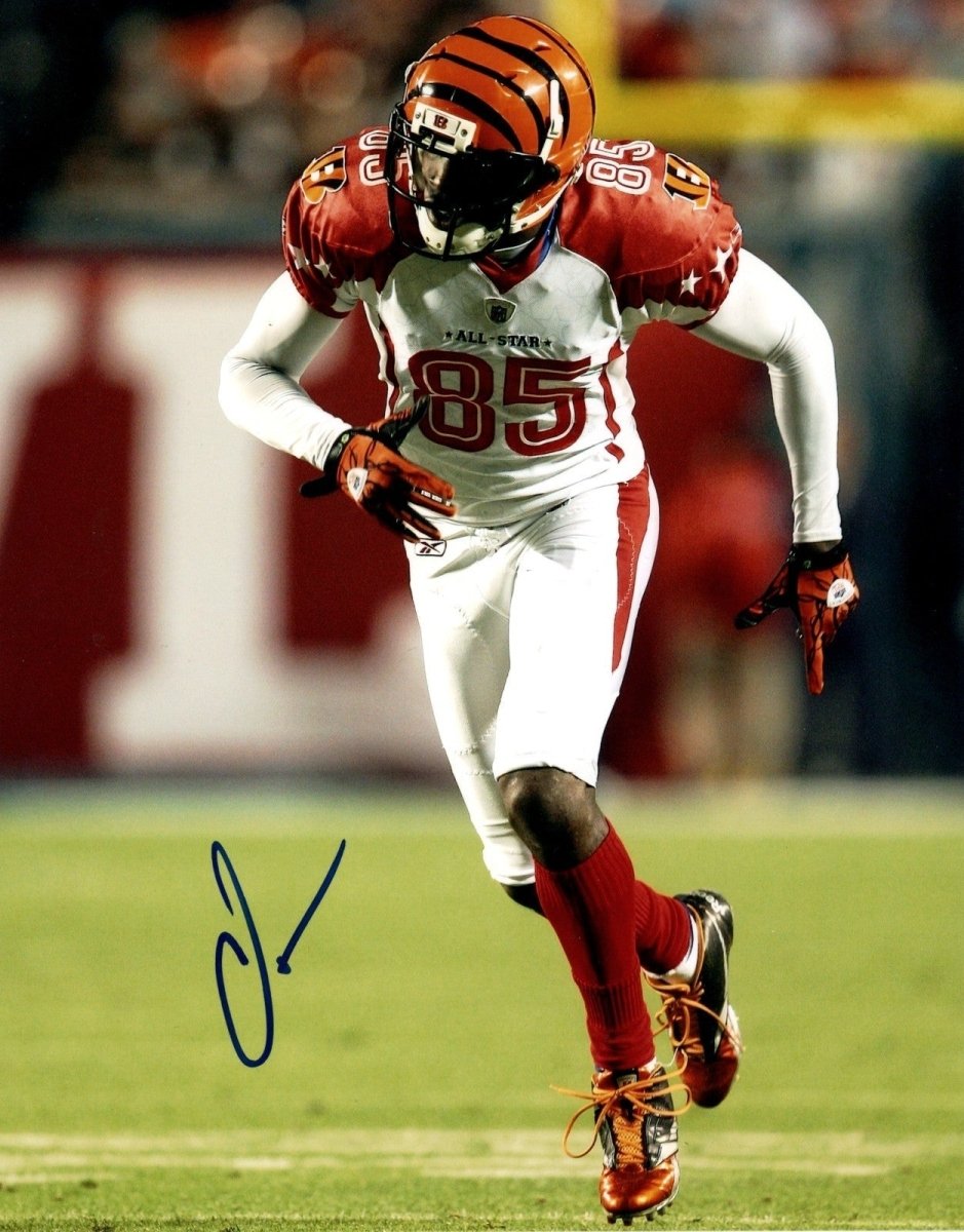 Chad Ochocinco Johnson Signed Autographed NFL Pro Bowl 8x10 Photo LSCM COA #4