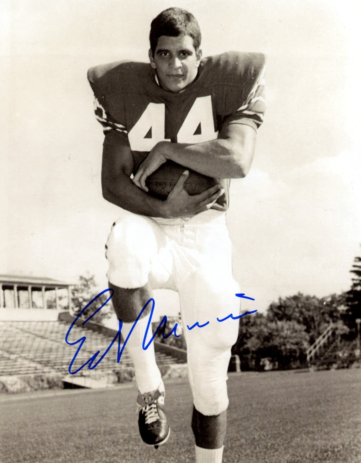 Ed Marinaro Signed Autographed Cornell Big Red 8x10 Photo LSCM COA