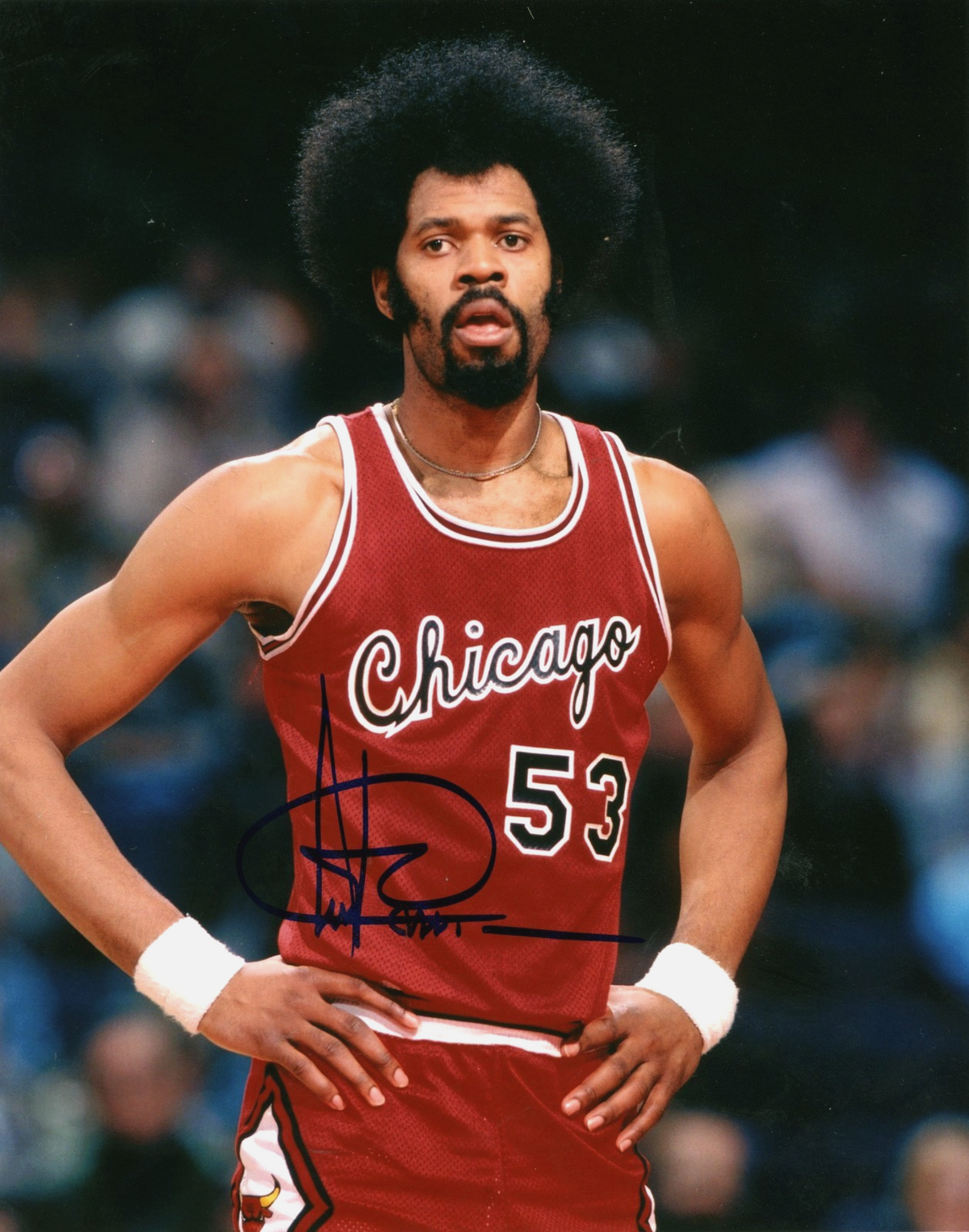 Artis Gilmore Signed Autographed Chicago Bulls 8x10 Photo LSCM COA #5