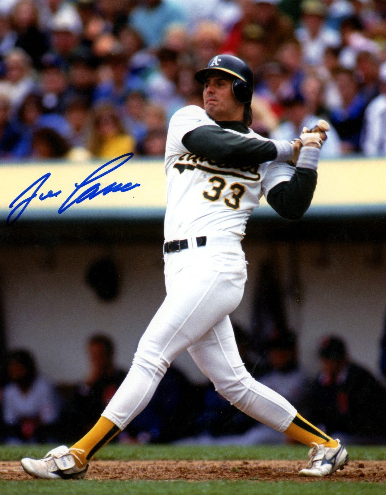 Jose Canseco Signed Autographed Oakland Athletics 8x10 Photo LSCM COA #4