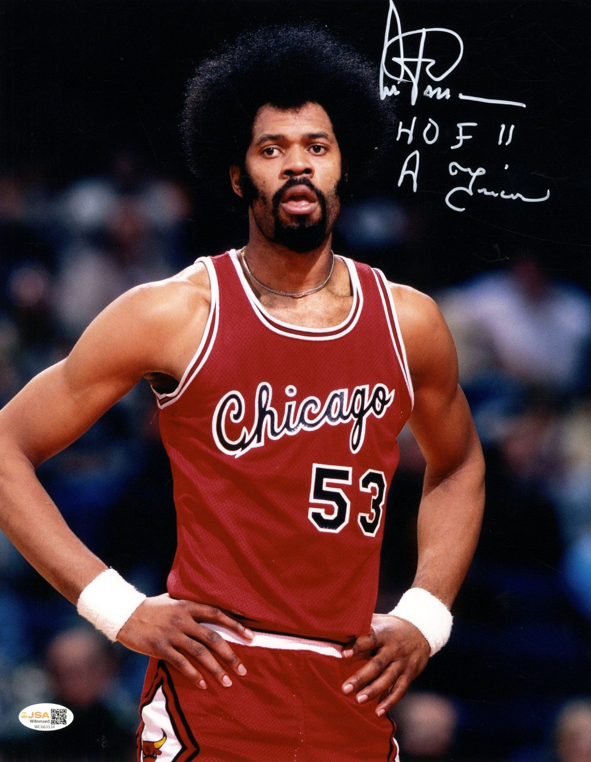 Artis Gilmore Signed Chicago Bulls 11x14 Photo w/ HOF 11 &amp; A Train JSA Wit. COA