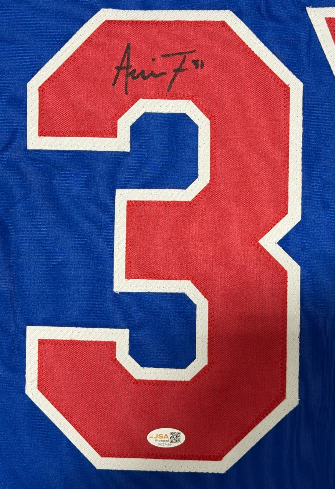 Aerin Frankel Signed Autographed USA Hockey Custom Jersey JSA Witness COA