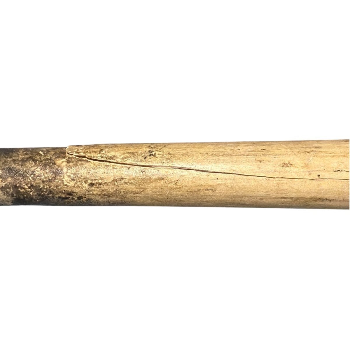 Gary Sheffield Signed Game Used Sam Bat Natural Bat JSA COA Braves A