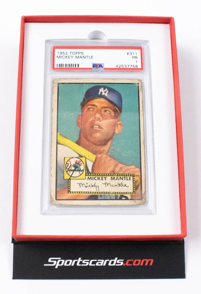 Black Box - PSA Holder